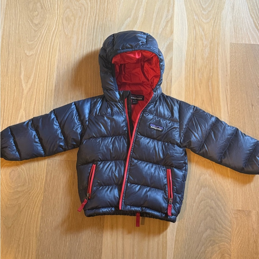 Toddler Boys Patagonia Jacket